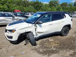 3C4NJDDB6MT521562 2021 JEEP COMPASS