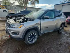 3C4NJDDB7KT709102 2019 JEEP COMPASS