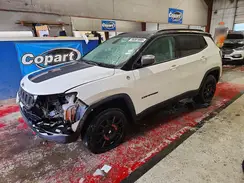 3C4NJDDB7KT748059 2019 JEEP COMPASS
