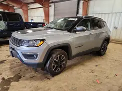 3C4NJDDB7LT166920 2020 JEEP COMPASS