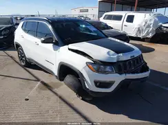3C4NJDDB8LT111795 2020 JEEP COMPASS