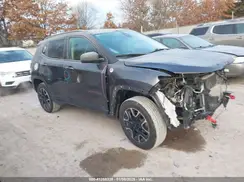 3C4NJDDB8LT163623 2020 JEEP COMPASS