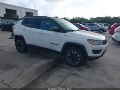 3C4NJDDB8LT166859 2020 JEEP COMPASS