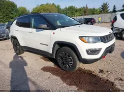 3C4NJDDB8LT184276 2020 JEEP COMPASS