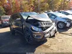 3C4NJDDB8LT203506 2020 JEEP COMPASS