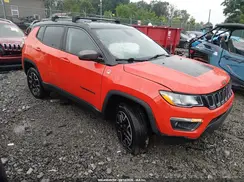 3C4NJDDB8LT248784 2020 JEEP COMPASS