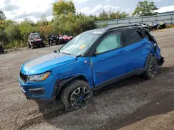 3C4NJDDB8MT546110 2021 JEEP COMPASS