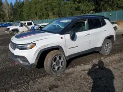 3C4NJDDB8NT219448 2022 JEEP COMPASS