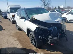 3C4NJDDB9JT163496 2018 JEEP COMPASS