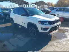 3C4NJDDB9KT727827 2019 JEEP COMPASS