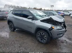 3C4NJDDB9LT106721 2020 JEEP COMPASS