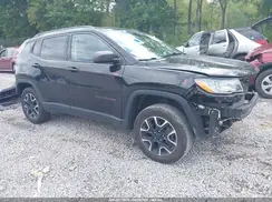 3C4NJDDB9LT167244 2020 JEEP COMPASS