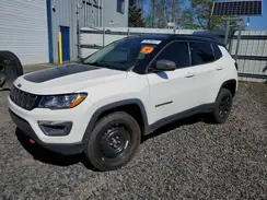 3C4NJDDB9LT195741 2020 JEEP COMPASS
