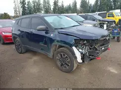 3C4NJDDBXKT629499 2019 JEEP COMPASS