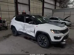 3C4NJDDBXKT668755 2019 JEEP COMPASS