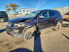 3C4NJDDBXKT721504 2019 JEEP COMPASS