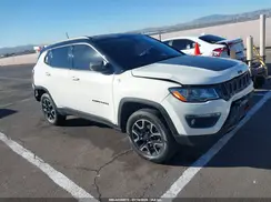 3C4NJDDBXKT723219 2019 JEEP COMPASS
