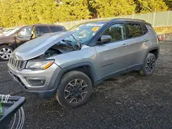3C4NJDDBXKT811185 2019 JEEP COMPASS