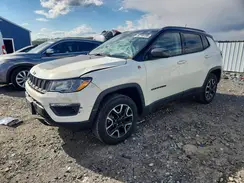 3C4NJDDBXLT111992 2020 JEEP COMPASS