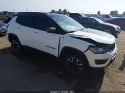 3C4NJDDBXLT195666 2020 JEEP COMPASS