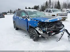 3C4NJDDBXMT565581 2021 JEEP COMPASS