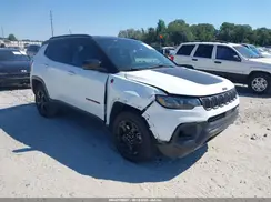 3C4NJDDN1PT527719 2023 JEEP COMPASS
