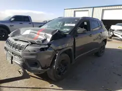 3C4NJDDN1PT528031 2023 JEEP COMPASS