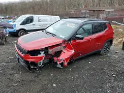 3C4NJDDNXST621879 2025 JEEP COMPASS