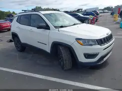 3C4NJDEBXMT540050 2021 JEEP COMPASS