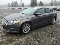 3FA6P0HD7HR343905 2017 FORD FUSION