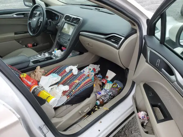 3FA6P0HD7KR213629 2019 FORD FUSION - Image 8