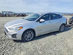 3FA6P0LU1KR261702 2019 FORD FUSION