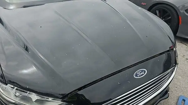 3FA6P0LU5KR152398 2019 FORD FUSION - Image 2