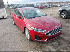 3FA6P0MU1KR136911 2019 FORD FUSION