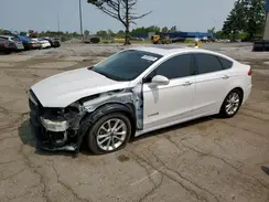 3FA6P0MU1KR169343 2019 FORD FUSION