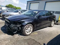 3FA6P0MU2KR181372 2019 FORD FUSION