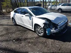 3FA6P0MU3KR256113 2019 FORD FUSION