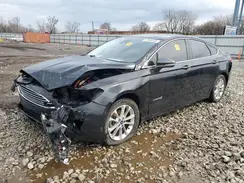 3FA6P0MU7KR185689 2019 FORD FUSION