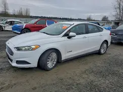 3FA6P0UU1GR343192 2016 FORD FUSION