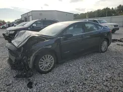 3FA6P0UU4GR250831 2016 FORD FUSION