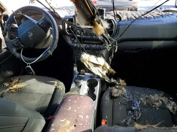 3FMCR9B6XPRD08601 2023 FORD BRONCO - Image 8