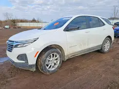 3GNAX5EG6PL259051 2023 CHEVROLET EQUINOX