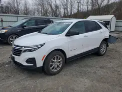 3GNAX5EG8PL258936 2023 CHEVROLET EQUINOX