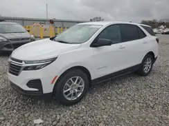 3GNAXFEG3RL319151 2024 CHEVROLET EQUINOX