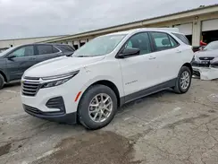 3GNAXHEG1PL244300 2023 CHEVROLET EQUINOX