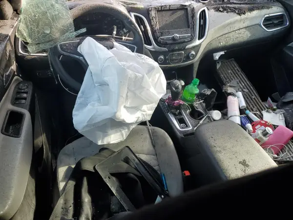 3GNAXHEV0KS592456 2019 CHEVROLET EQUINOX - Image 8