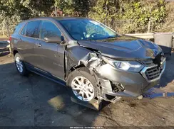 3GNAXHEV1KS559689 2019 CHEVROLET EQUINOX