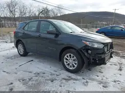 3GNAXHEV7LS653884 2020 CHEVROLET EQUINOX