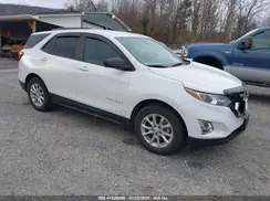 3GNAXHEV8MS135543 2021 CHEVROLET EQUINOX