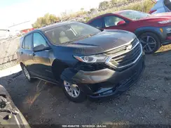 3GNAXJEV2KS596421 2019 CHEVROLET EQUINOX